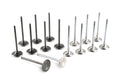 Tomei Racing Valve Set | 2017-2021 Honda Civic Type-R / 2023+ Honda Civic Type-R (TA303A-HN01A)