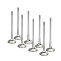 SUPERTECH Inconel Exhaust Valves for Hyundai 2.0L Turbo Applications